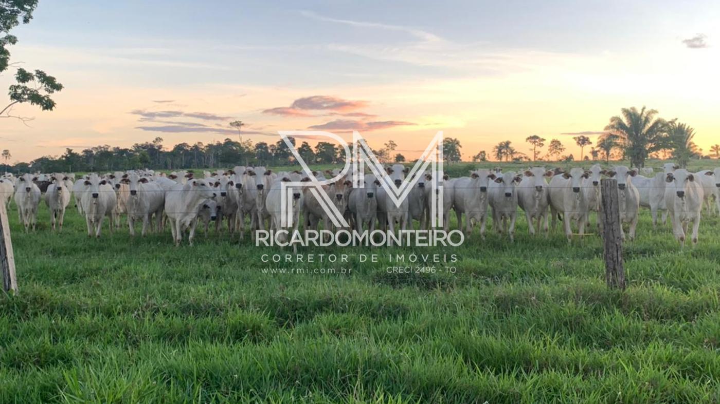 Fazenda à venda, 1452m² - Foto 1